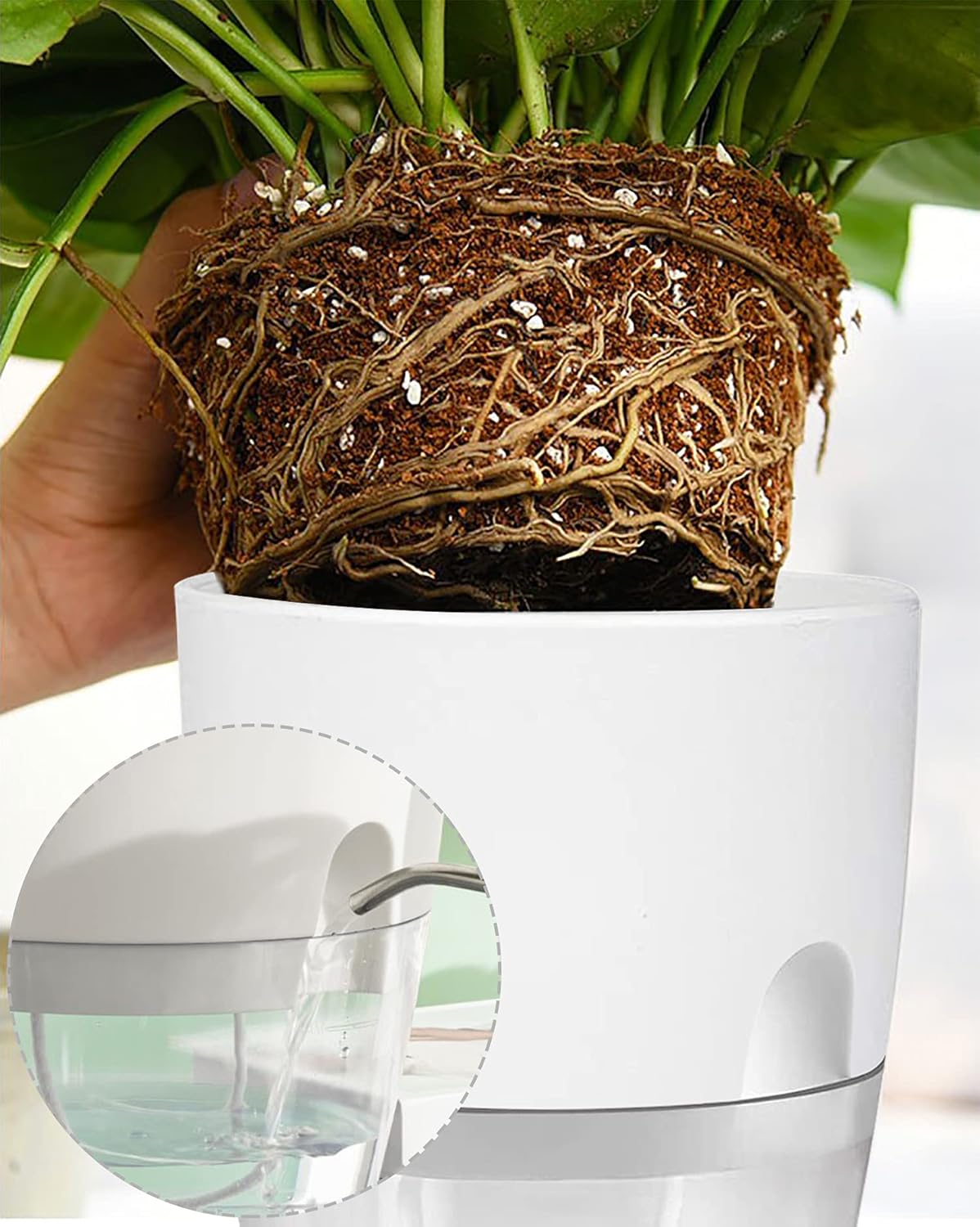 iDattel Kräutertopf 3er Set mit Selbstbewässerung – Küchen Kräutergarten für Fensterbank, Weiß, 18,2 x 11 x 15,3 cm