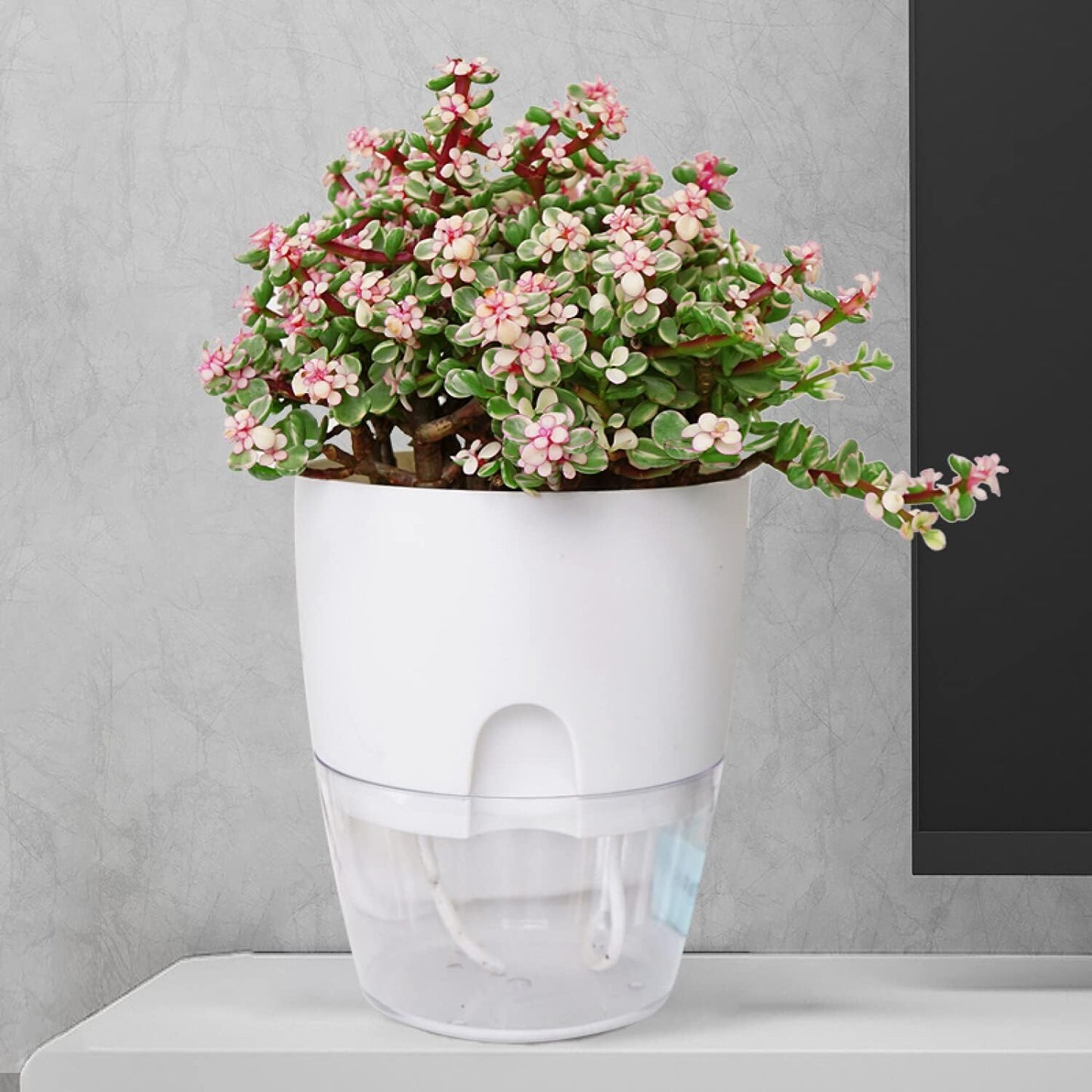 iDattel Kräutertopf 3er Set mit Selbstbewässerung – Küchen Kräutergarten für Fensterbank, Weiß, 18,2 x 11 x 15,3 cm